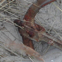 Anker im Sand - Teilbild